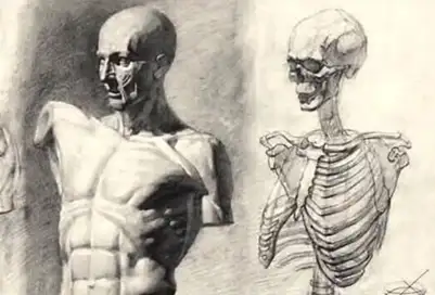 Anatomi ve Modelden Desen